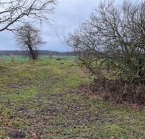 Ca 51400m2 Acker und Weideland nahe Rostock - Thulendorf