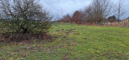 Bild 2 - Grundstück zum Kaufen in Thulendorf