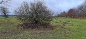 Bild 5 - 
