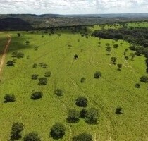 Brasilien 1500 Ha Tiefpreis - Grundstück mit Rohstoffen - Presidente Figueiredo