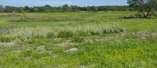 Bild 2 - Grundstück zum Kaufen in Presidente Figueiredo