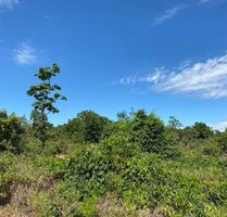 Brasilien riesengrosses 3.000 Ha Tiefpreis-Grundstück - Presidente Figueiredo