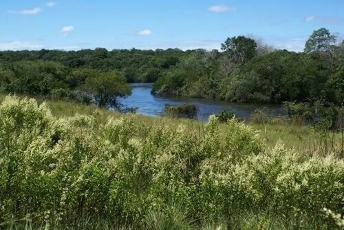 Bild 2 - Grundstück zum Kaufen in Presidente Figueiredo