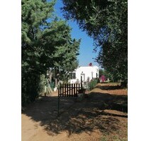 Ferienhaus mit Olivenhain in der Basilikata Italien - Pisticci