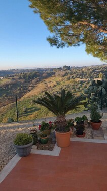 Bild 3 - 4 Zimmer Einfamilienhaus in Pisticci