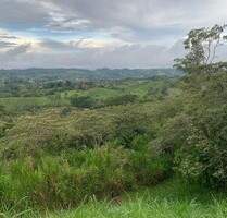Bauplatz in Costa Rica Puntarenas - Agua buena