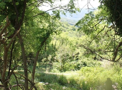 Bild 1 - Ruinenhaus in Montenegro 500m2 Grund zum Meer 5km