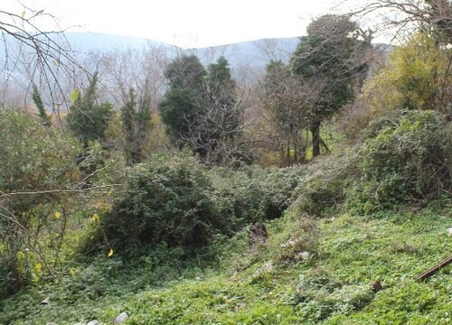 Bild 2 - Grundstück zum Kaufen in Gemeinde Ulcinj