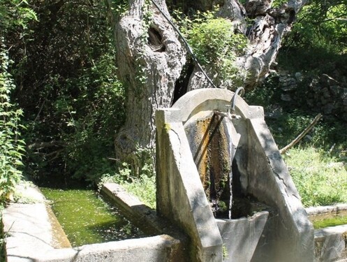 Bild 4 - Grundstück in Gemeinde Ulcinj zum Kaufen