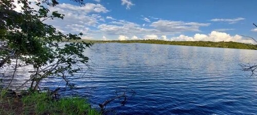 Bild 1 - Brasilien 10000ha Grundstück Wiesen Wald Edelhölzer