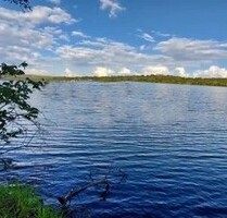 Brasilien 10000ha Grundstück Wiesen Wald Edelhölzer - Fonte Boa