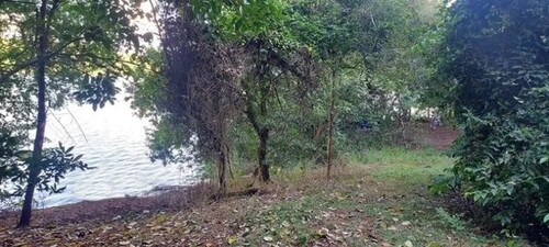 Bild 2 - Grundstück zum Kaufen in Fonte Boa