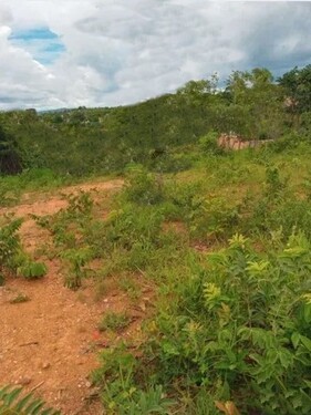 Bild 4 - Grundstück in Fonte Boa zum Kaufen