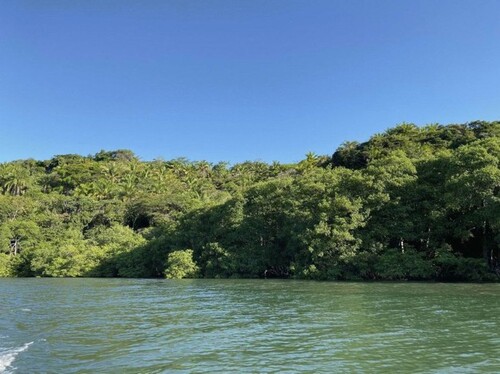 Bild 2 - Grundstück zum Kaufen in Itacaré