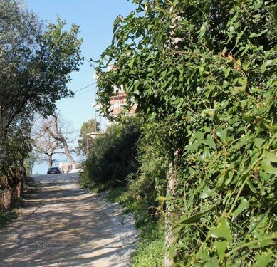 Bild 3 - Grundstück in Krais Ulcinj