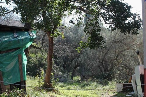 Bild 4 - Grundstück in Krais Ulcinj zum Kaufen