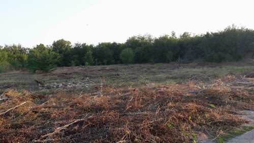 Bild 2 - Grundstück zum Kaufen in Kavarna