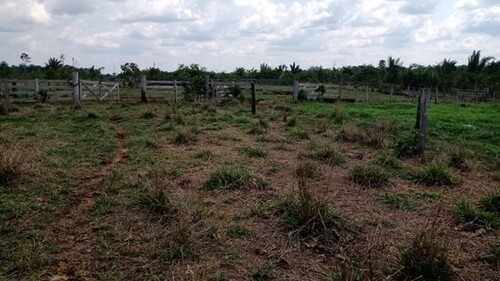 Bild 4 - Grundstück in Amajari zum Kaufen