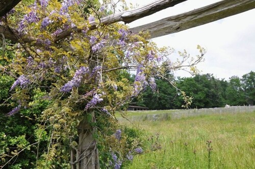Bild 4 - Einfamilienhaus mit 185,00 m&sup2; in SOUDAT zum Kaufen