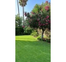 Sonniges Appartement an 3 Golfplätzen Mallorca - Palma de Mallorca