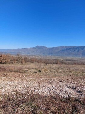 Bild 2 - 1 Zimmer Einfamilienhaus zum Kaufen in Kran