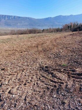 Bild 3 - 1 Zimmer Einfamilienhaus in Kran