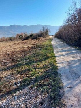 Bild 4 - Einfamilienhaus in Kran zum Kaufen