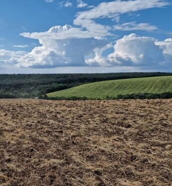 Bild 2 - Grundstück zum Kaufen in Gurahont