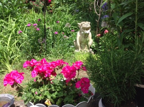 Bild 4 - Einfamilienhaus mit 295,00 m² in Sessame zum Kaufen