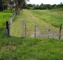 Brasilien 75035 Ha Tiefpreis-Grundstück - Balbina