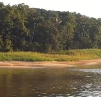 Brasilien 6.000 Ha Rohstoff Land Region Manaus Tefe