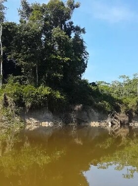 Bild 2 - Grundstück zum Kaufen in Tefe