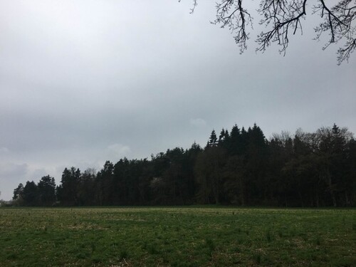 Bild 1 - Kiefernwald nahe Kamenz - 124.000,00 EUR Kaufpreis, ca.  62.000,00 m²