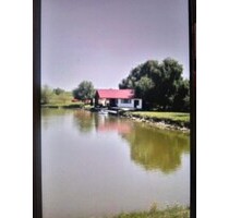 3 ha Teich mit 12 Hütten - 365.000,00 EUR Kaufpreis, ca.  250,00 m² Wohnfläche in Gurahont (PLZ: 315173)