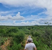 Brasilien 560 Ha grosses Tiefpreis-Grundstück - Arripiada