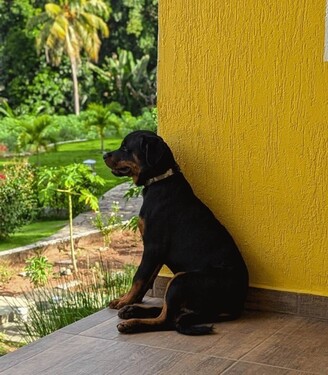 Bild 4 - Einfamilienhaus mit 240,00 m&sup2; in Conde zum Kaufen