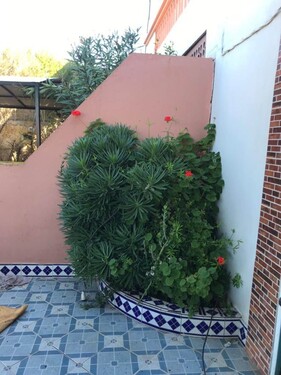 Bild 3 - 3 Zimmer Einfamilienhaus in Safi