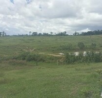 Brasilien 150 Ha Grundstück mit Rinderzucht und Fischzucht - Manaus