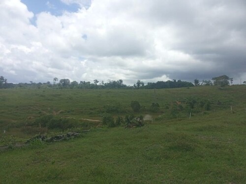 Bild 2 - Grundstück zum Kaufen in Manaus