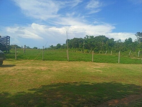 Bild 3 - Grundstück in Manaus