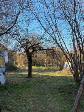 Bild 3 - 7 Zimmer Einfamilienhaus in Mainleus