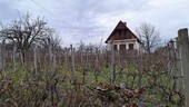 Bild 1 - Ferienhaus an der Donau in Baranya Ungarn