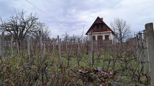 Bild 1 - Ferienhaus an der Donau in Baranya Ungarn