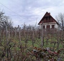 Ferienhaus an der Donau in Baranya Ungarn - Mohács