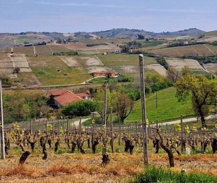 Bild 1 - Landhaus in Piemont 8km von Barbaresco entfernt