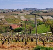Landhaus in Piemont 8km von Barbaresco entfernt - Coazzolo