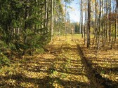 Bild 1 - Haus und Wald - NOTVERKAUF - Kreis Lahti