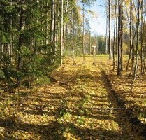 Haus und Wald - NOTVERKAUF - Kreis Lahti Haus und Wald - NOTVERKAUF - Kreis Lahti