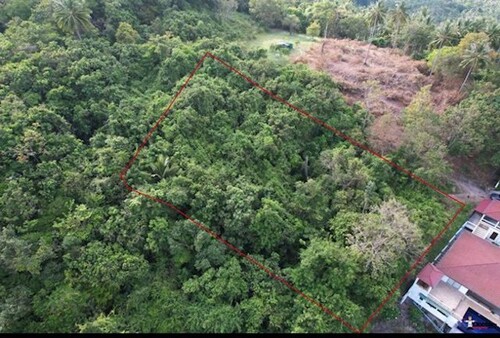 Bild 1 - Baugrundstück mit Meerblick Thailand Taling Ngam