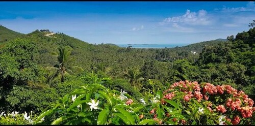 Bild 3 - Grundstück in Taling Ngam Koh Samui